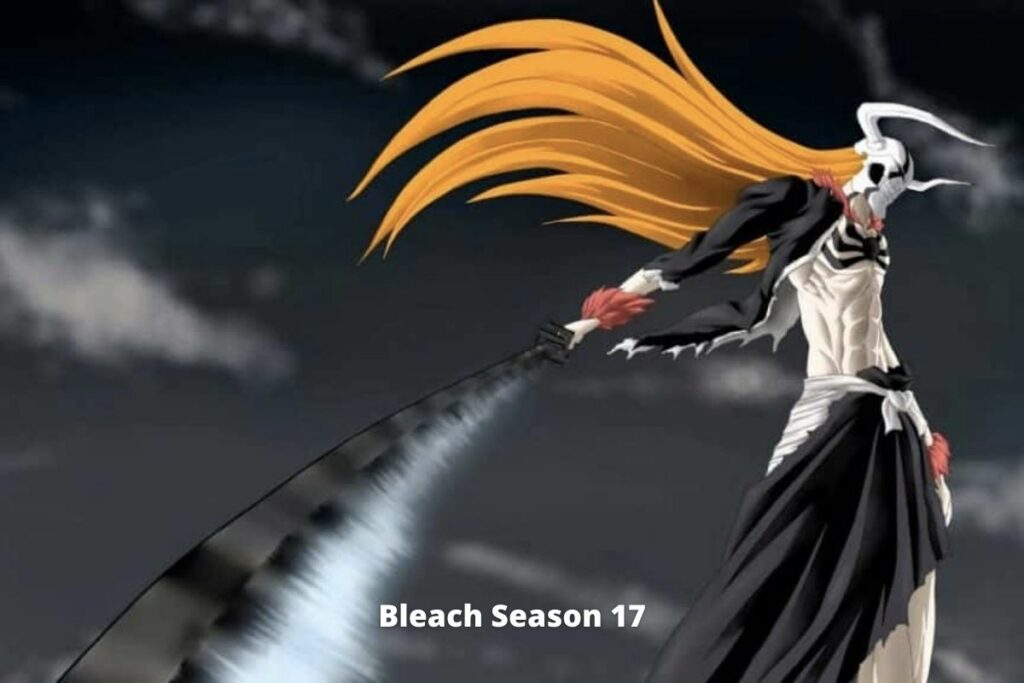 Bleach Season 17