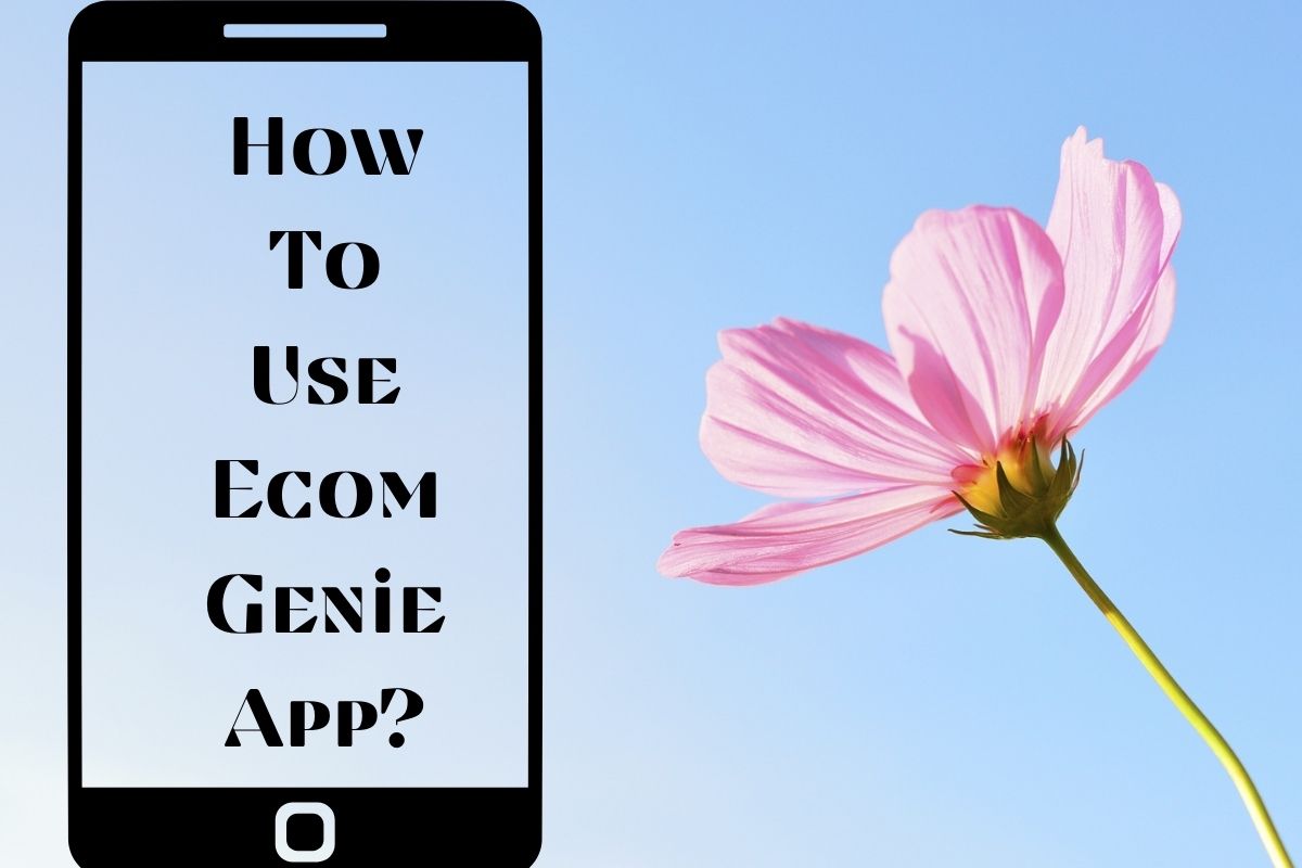 EcomGenie App