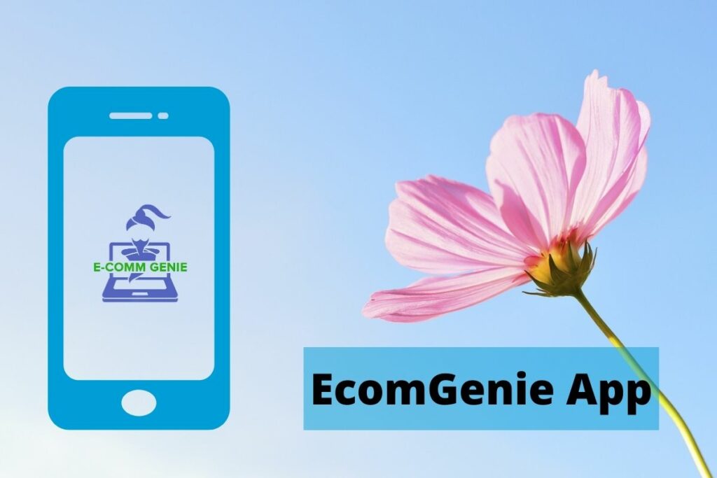 EcomGenie App