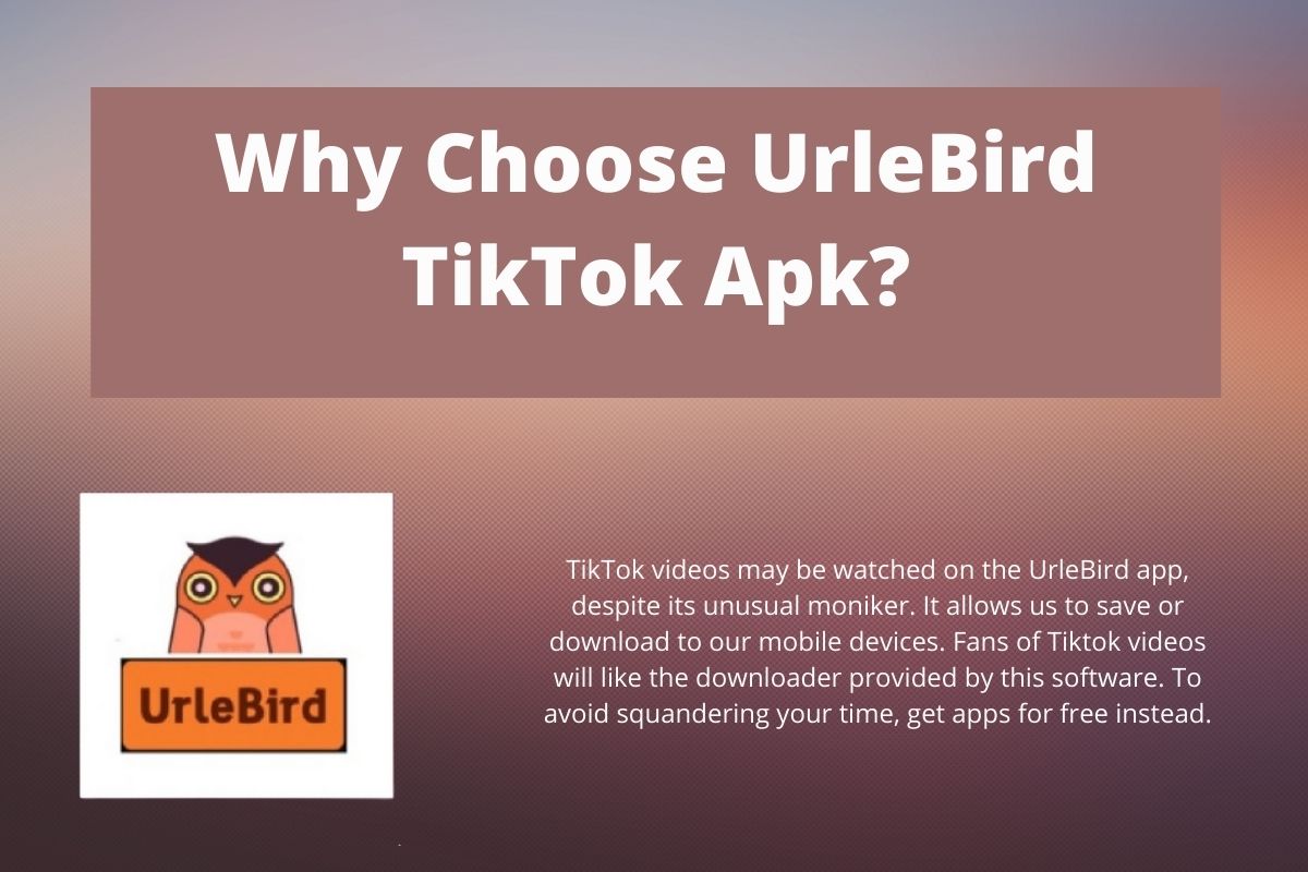 Urlebird Tiktok