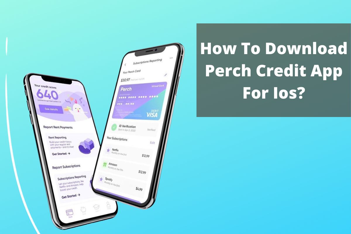 Perch Credit