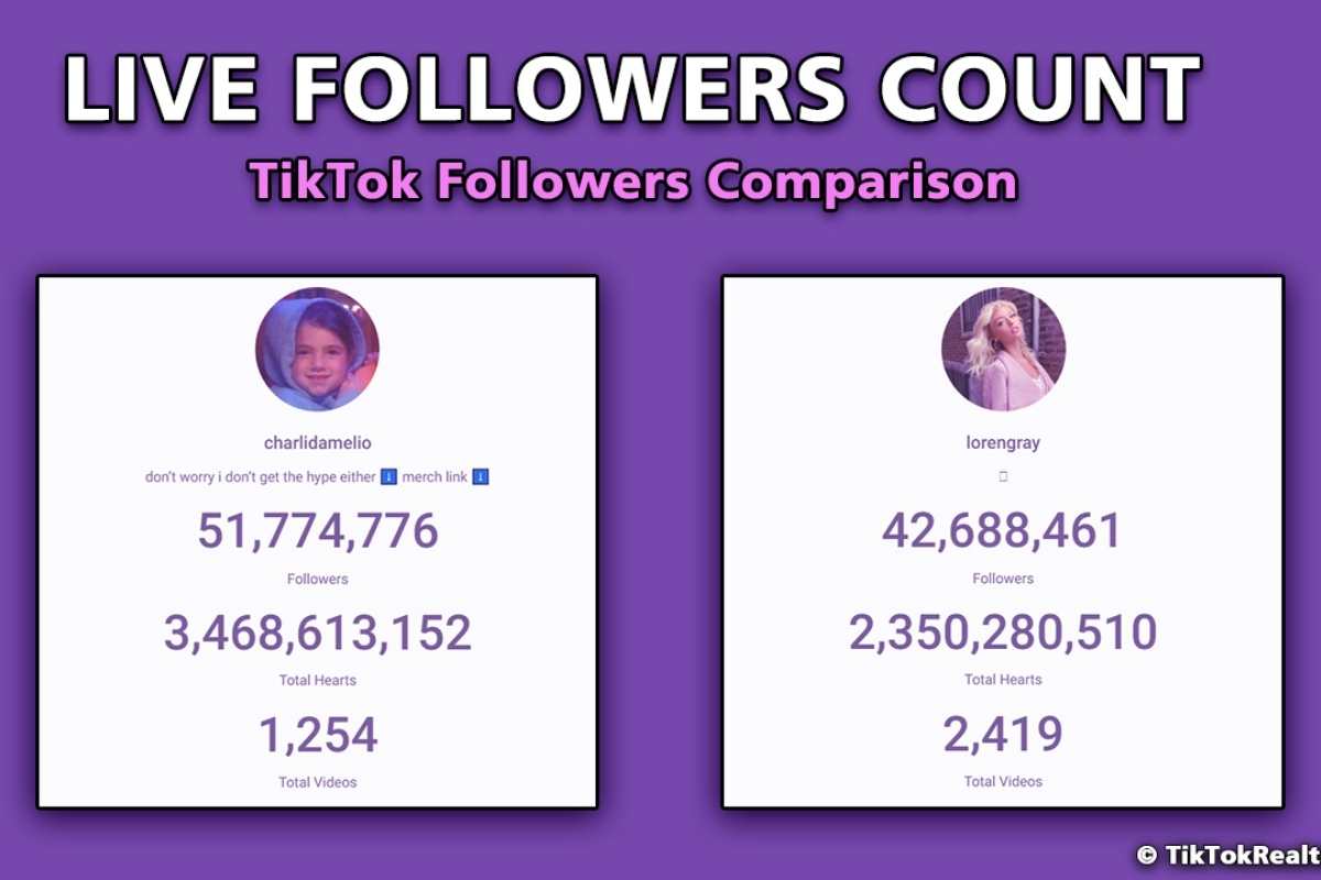 Live Follow Count