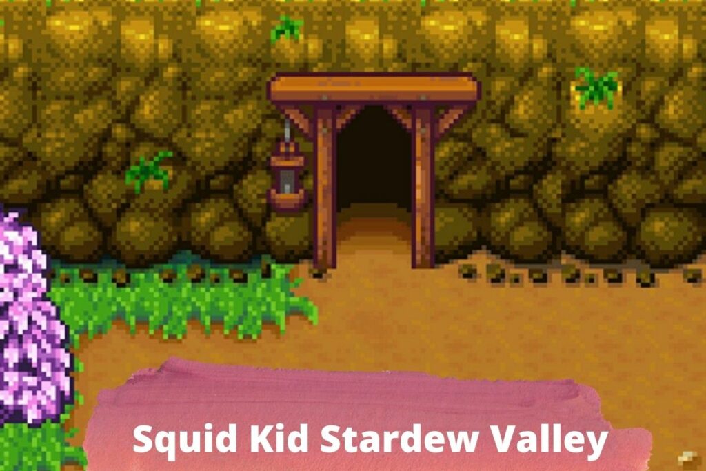 Squid Kid Stardew Valley