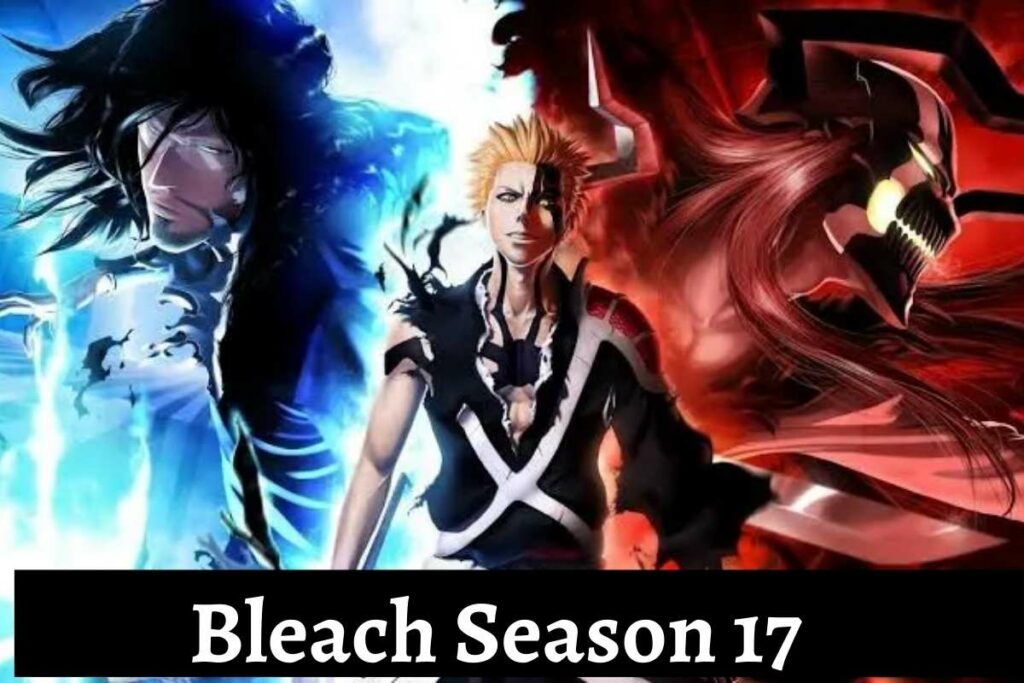 bleach season 17