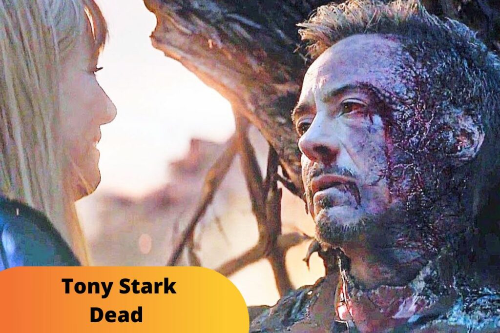 Tony Stark Dead