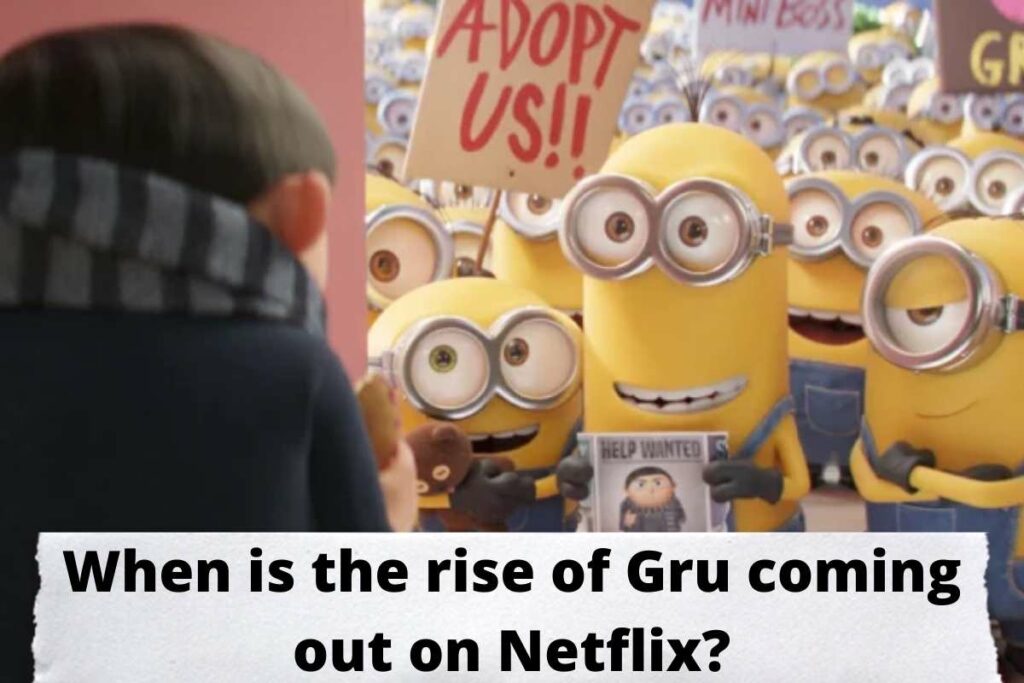 When is the rise of Gru coming out on Netflix?