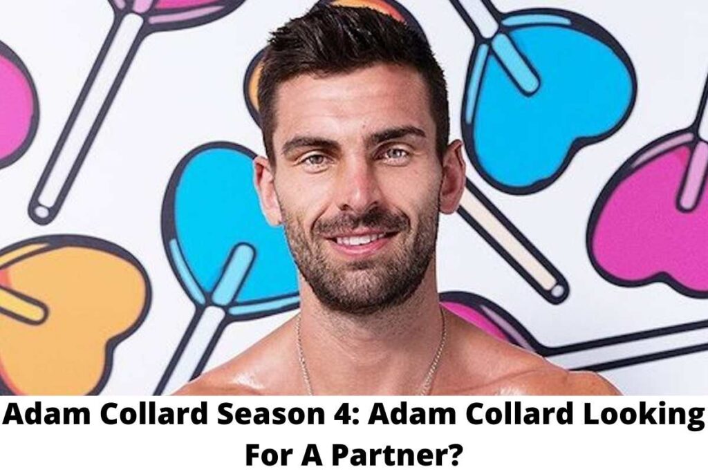 Adam Collard Season 4 Adam Collard Looking For A Partner