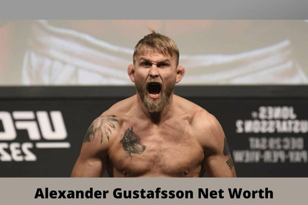 Alexander Gustafsson Net Worth