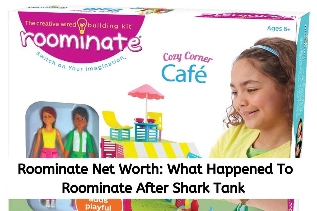 Roominate Net Worth What Happened To Roominate After Shark Tank