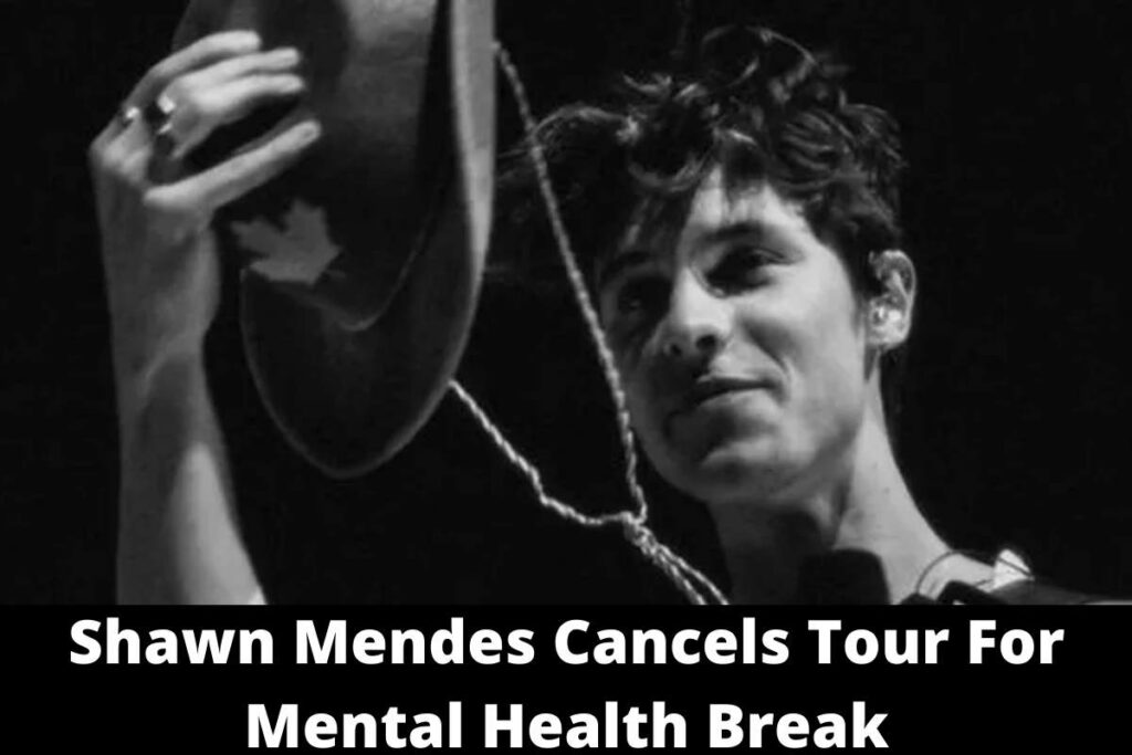Shawn Mendes Cancels Tour For Mental Health Break