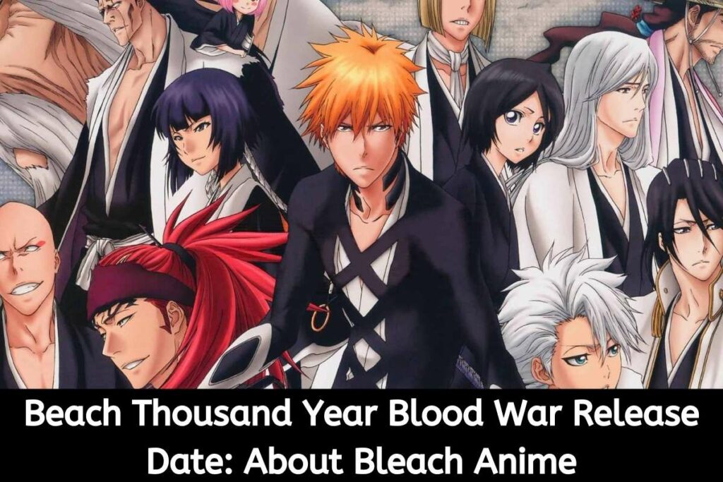 Beach Thousand Year Blood War Release Date Status: About Bleach Anime