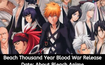 Beach Thousand Year Blood War Release Date: About Bleach Anime