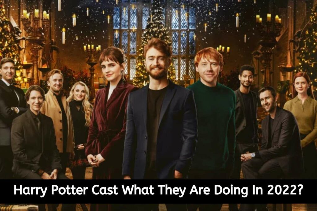 Harry Potter Cast What They Are Doing in 2022