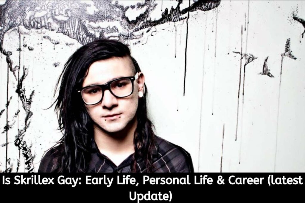 Is Skrillex Gay Early Life, Personal Life & Career (latest Update)