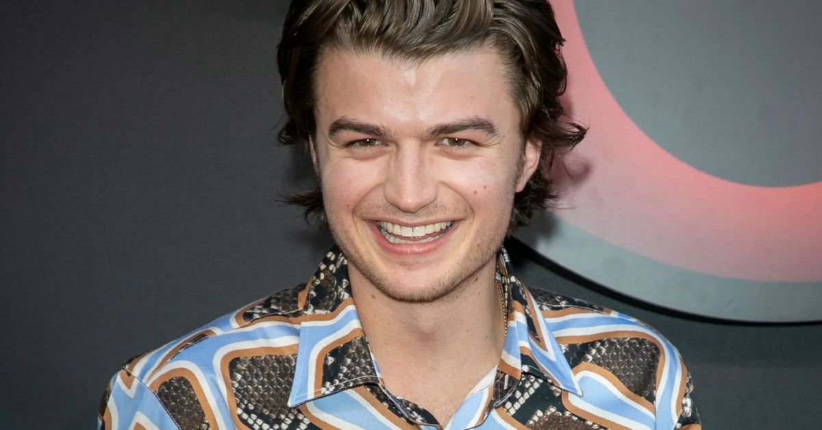 is joe keery gay