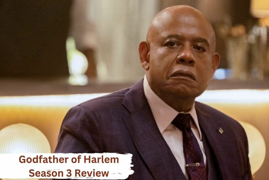 Godfather of Harlem Season 3 Review