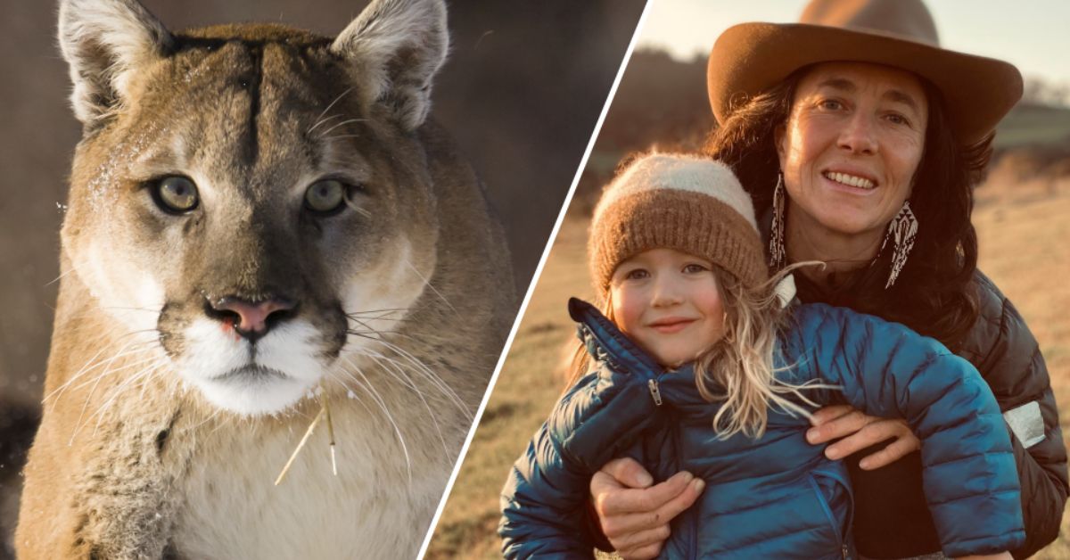 A Mountain Lion Attacked A 5-year-old Boy In California, But He Is Still Happy