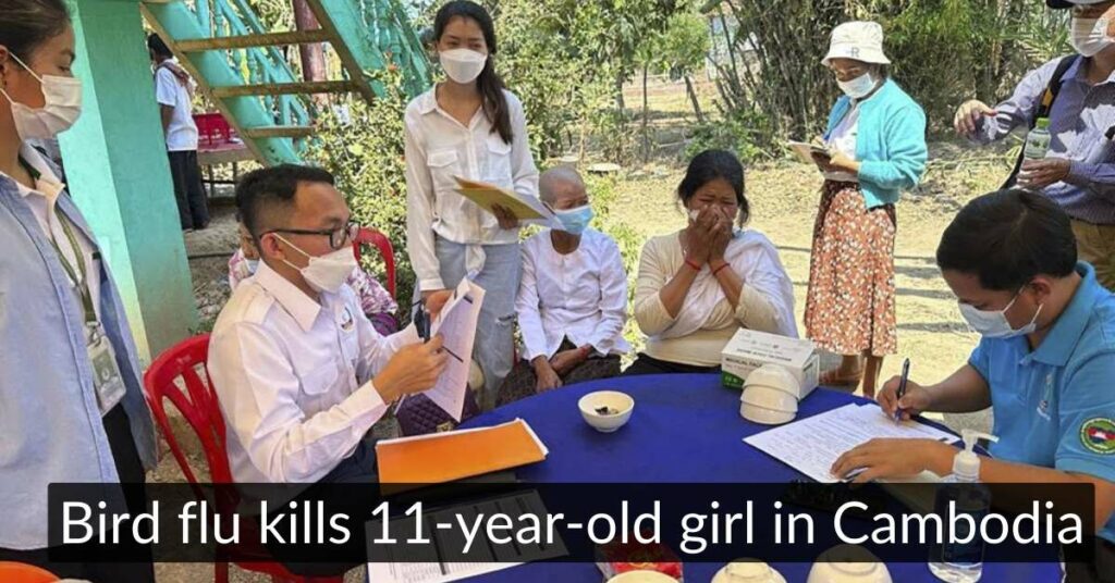 Bird flu kills 11-year-old girl in Cambodia