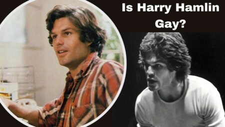 Is Harry Hamlin Gay?