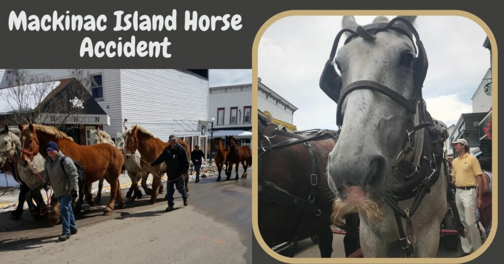 Mackinac Island Horse Accident