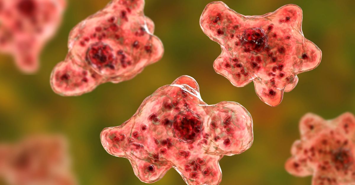 A Person Dies After Being Infected With a Brain-eating Amoeba