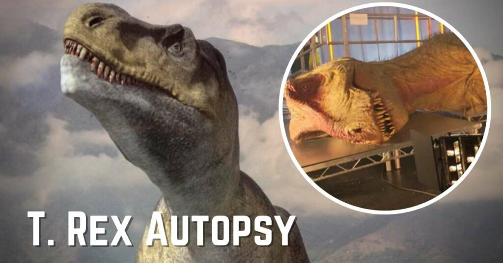 T. Rex Autopsy