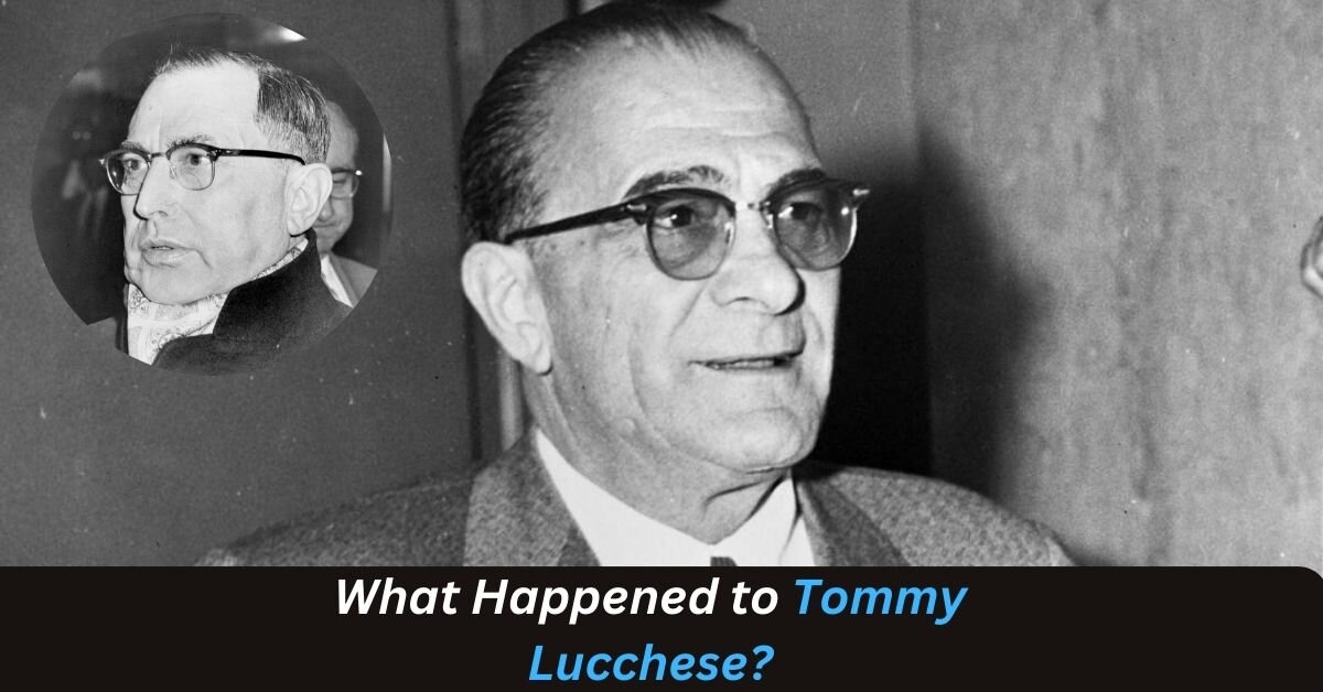 What Happened to Tommy Lucchese